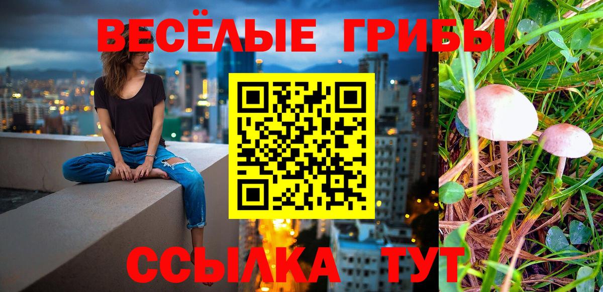 Галлюциногенные грибы мухоморы Ростов Великий