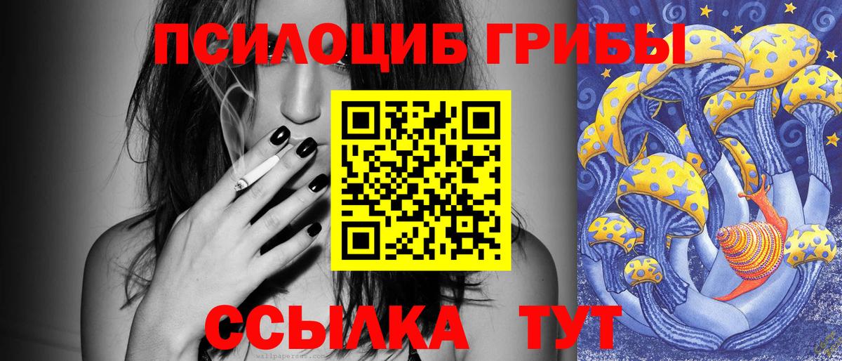 Ростов Великий  Галлюциногенные грибы Cubensis  Вход с VPN 